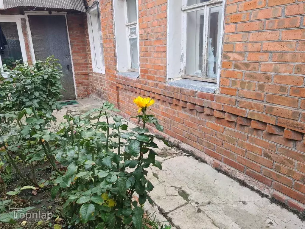 Дом в Ростовская область, Ростов-на-Дону Новое Поселение мкр, ул. ... - Фото 1