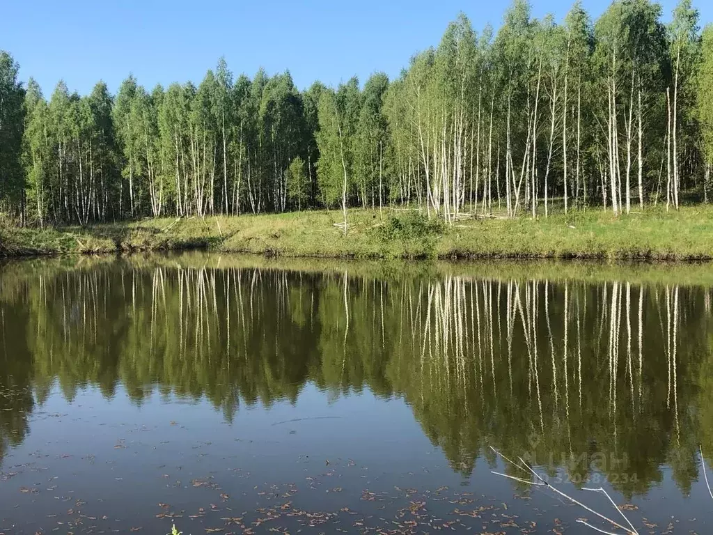 Участок в Московская область, Ступино городской округ Каширское шоссе, ... - Фото 1