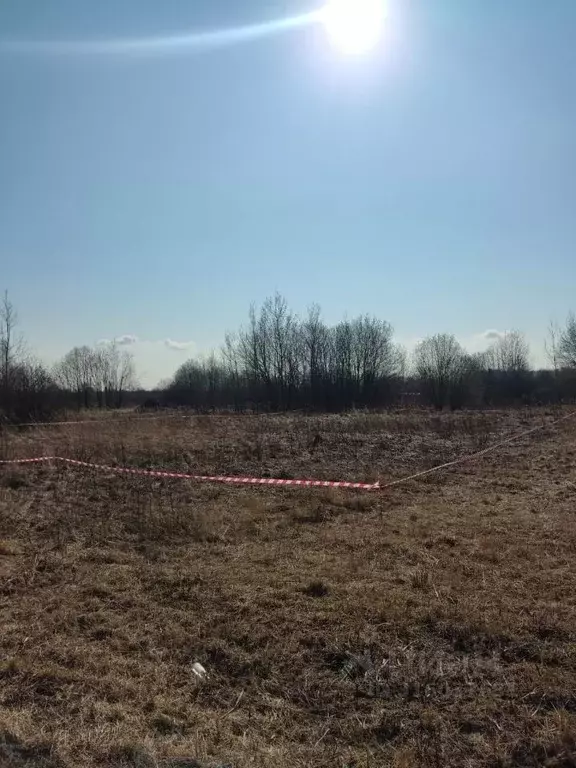Участок в Владимирская область, Собинский муниципальный округ, пос. ... - Фото 1