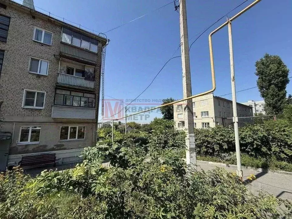 2-к кв. Белгородская область, Старый Оскол ул. Ленина, 8 (42.0 м) - Фото 1