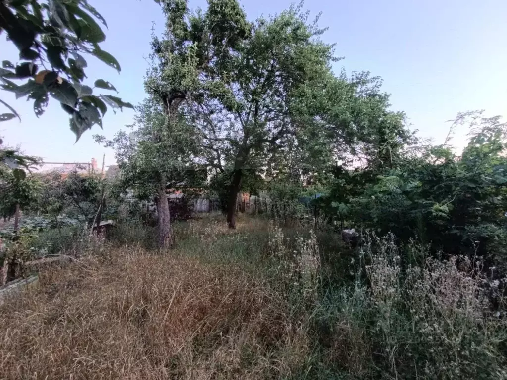Участок в Адыгея, Майкоп ул. Хакурате, 363 (3.0 сот.) - Фото 1