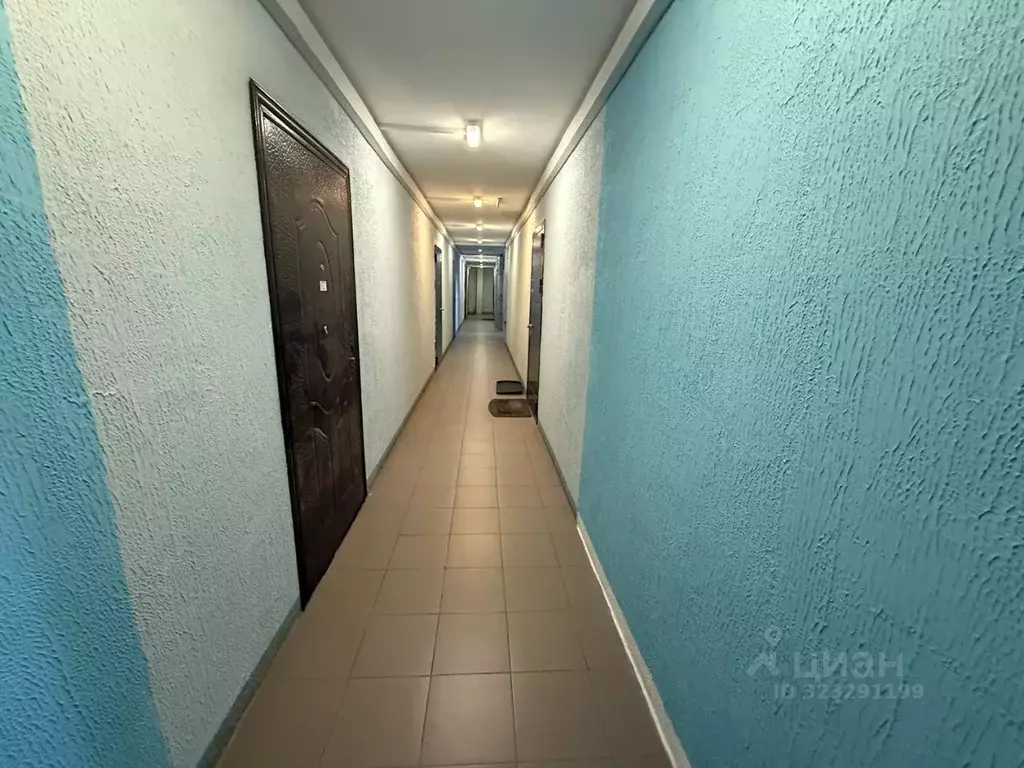 Студия Московская область, Щелково городской округ, д. Большие ... - Фото 1