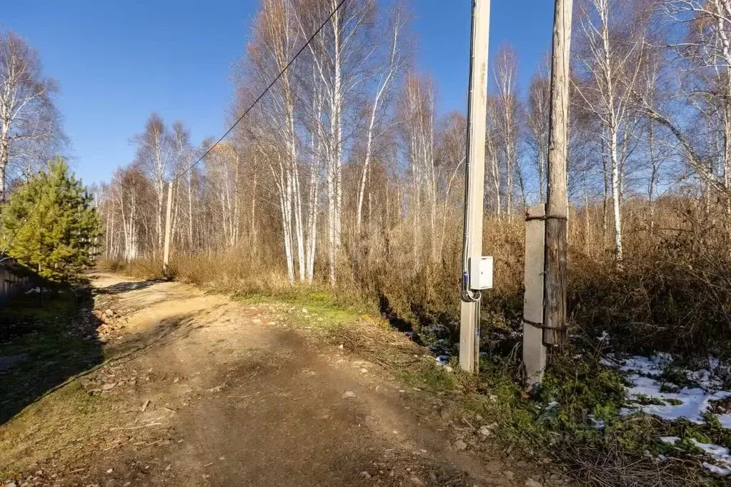 Участок в Тюменская область, Нижнетавдинский район, Фортуна СТ ул. 3-я ... - Фото 1