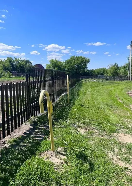 Участок в Алтайский край, Первомайский район, с. Баюновские ключи ... - Фото 2