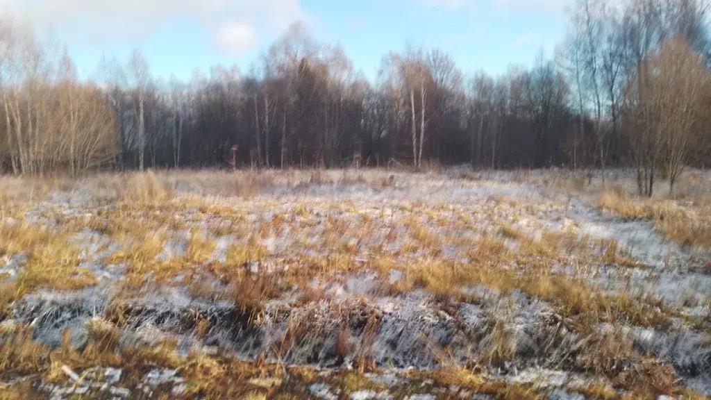 Участок в Ярославская область, Переславль-Залесский муниципальный ... - Фото 2