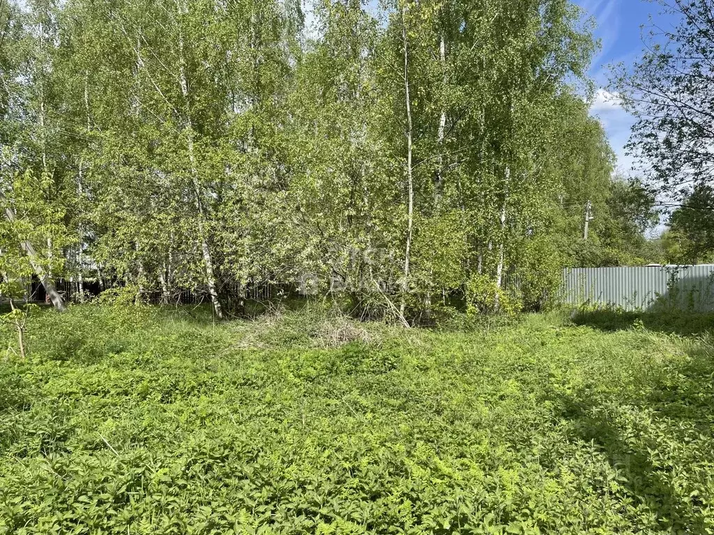 Участок в Московская область, Богородский городской округ, д. Ельня  ... - Фото 1