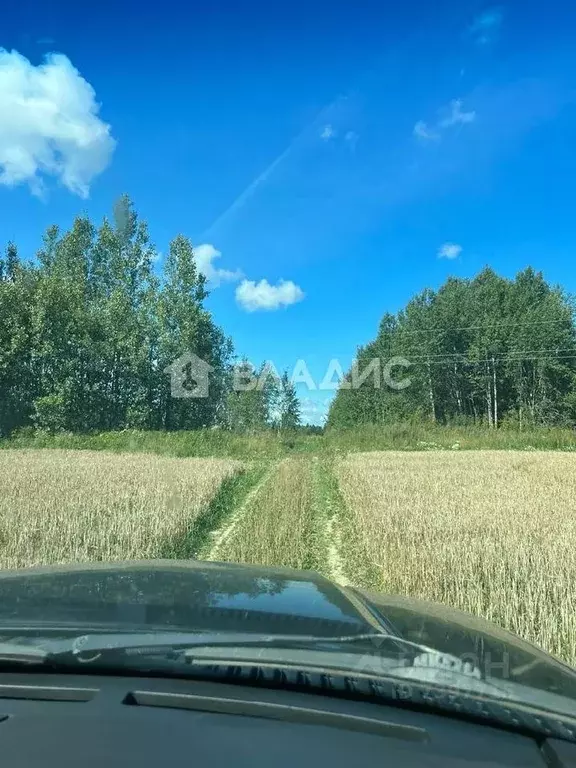 Участок в Вологодская область, Шекснинский район, Ершовское с/пос, д. ... - Фото 0