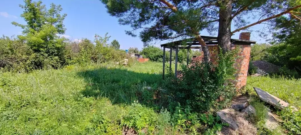 Участок в Оренбургская область, Оренбургский район, Сергиевский ... - Фото 2