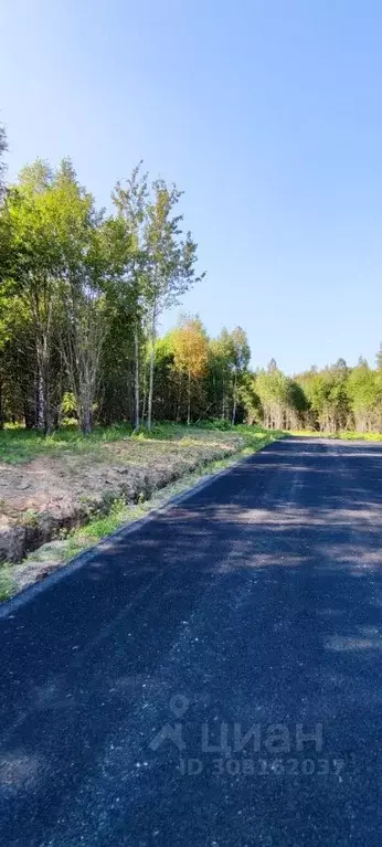 Участок в Московская область, Сергиево-Посадский городской округ, д. ... - Фото 0