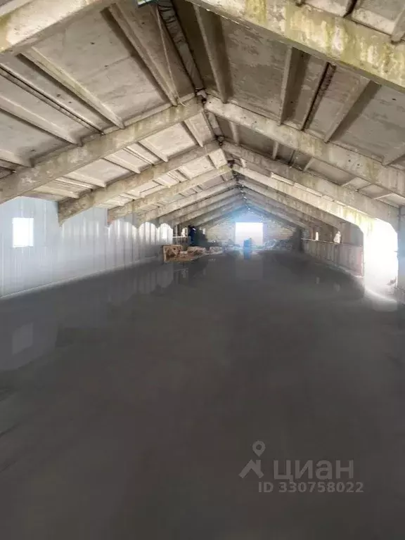 Склад в Московская область, Кашира городской округ, д. Барабаново ул. ... - Фото 1