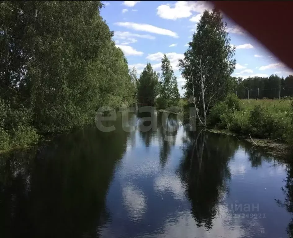 Участок в Новосибирская область, Новосибирский район, Кудряшовский ... - Фото 1