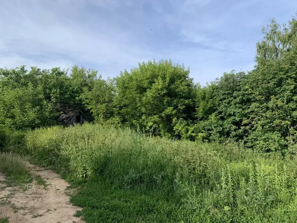 Участок в Нижегородская область, Кстовский муниципальный округ, д. ... - Фото 1