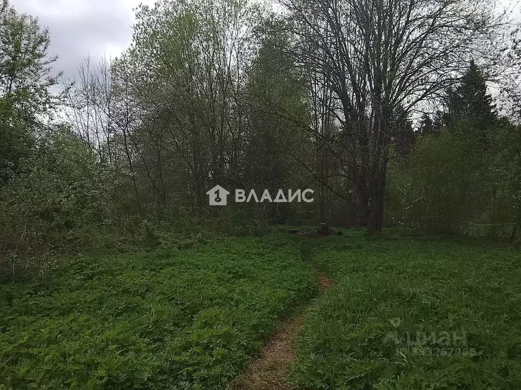 Участок в Ленинградская область, Гатчинский муниципальный округ Р-23, ... - Фото 2