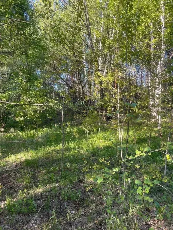 Участок в Нижегородская область, Володарский муниципальный округ, ... - Фото 1