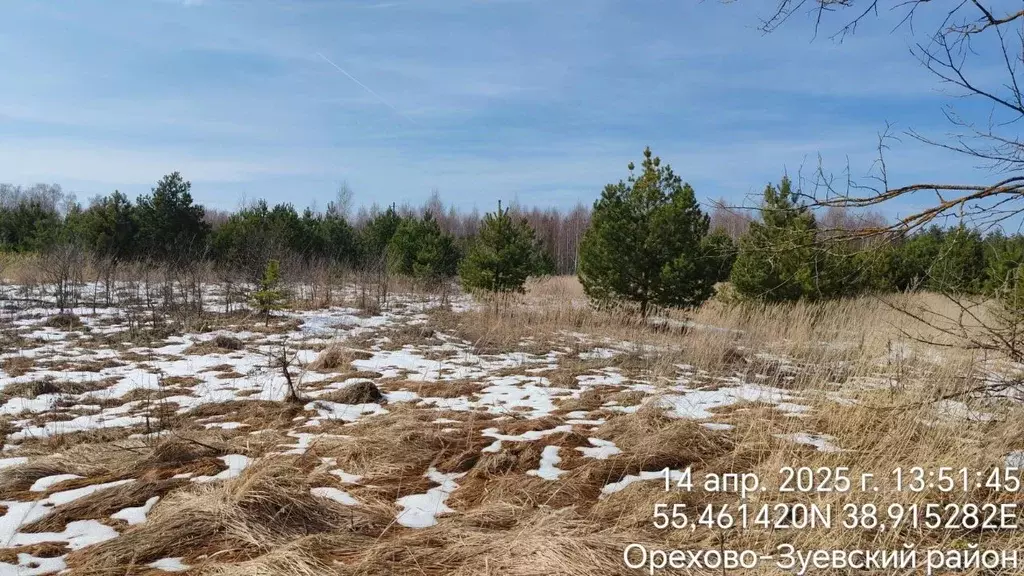 Участок в Московская область, Орехово-Зуевский городской округ, д. ... - Фото 1