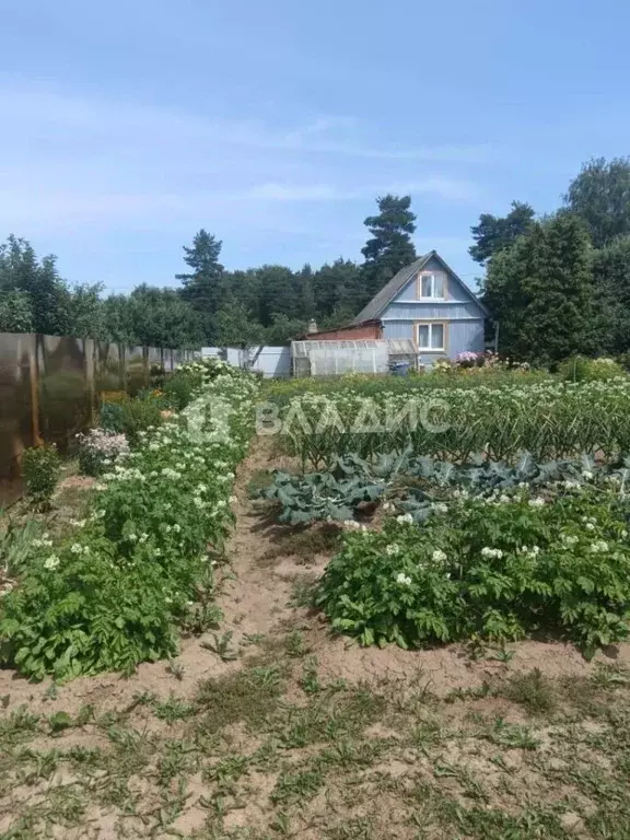 Дом в Владимирская область, Суздальский район, Новоалександровское ... - Фото 0