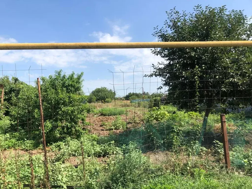 Участок в Краснодарский край, Темрюкский район, Курчанское с/пос, пос. ... - Фото 1