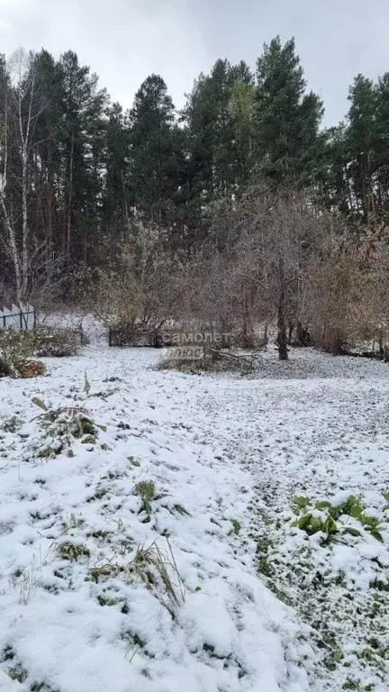 Участок в Алтайский край, Белокуриха Алтайская ул., 53 (15.0 сот.) - Фото 2