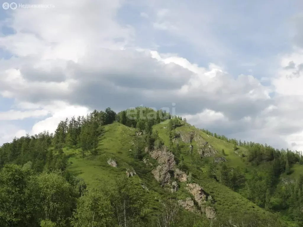 Участок в Чемальский район, село Анос (20 м) - Фото 1