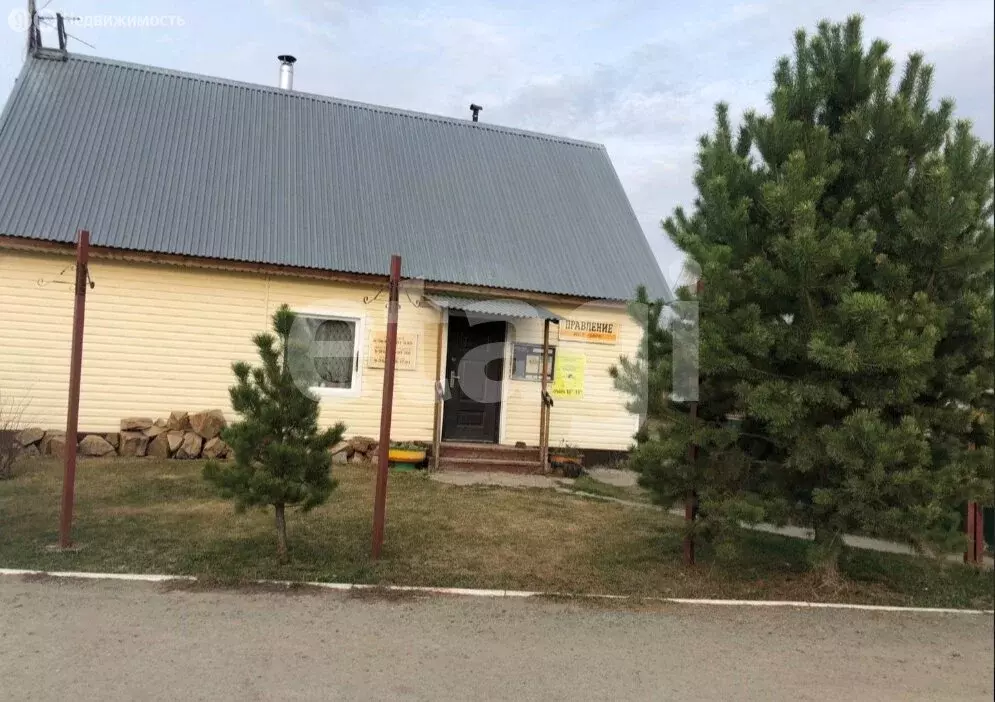 Участок в Криводановский сельсовет, НСТ Заря, Тихая улица (10 м) - Фото 1