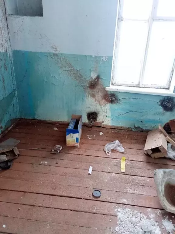 Помещение свободного назначения в Алтайский край, Зональный район, с. ... - Фото 1