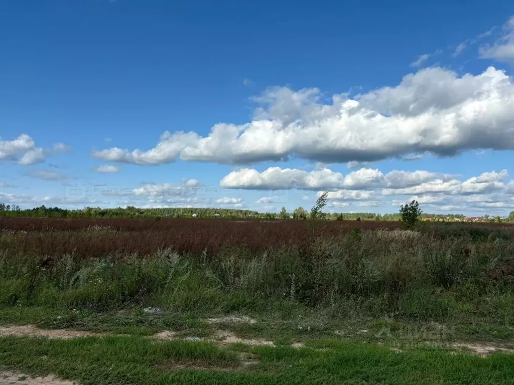 участок в татарстан, зеленодольский район, осиновское с/пос, с. . - Фото 0