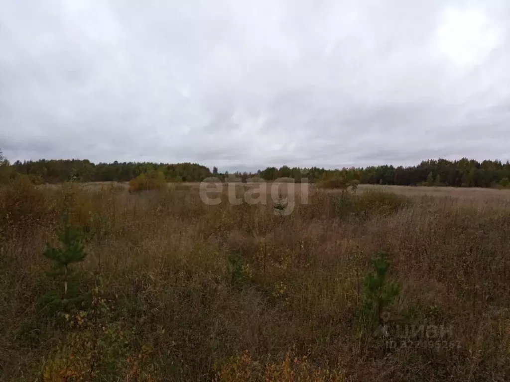 Участок в Вологодская область, Грязовецкий муниципальный округ, ... - Фото 1