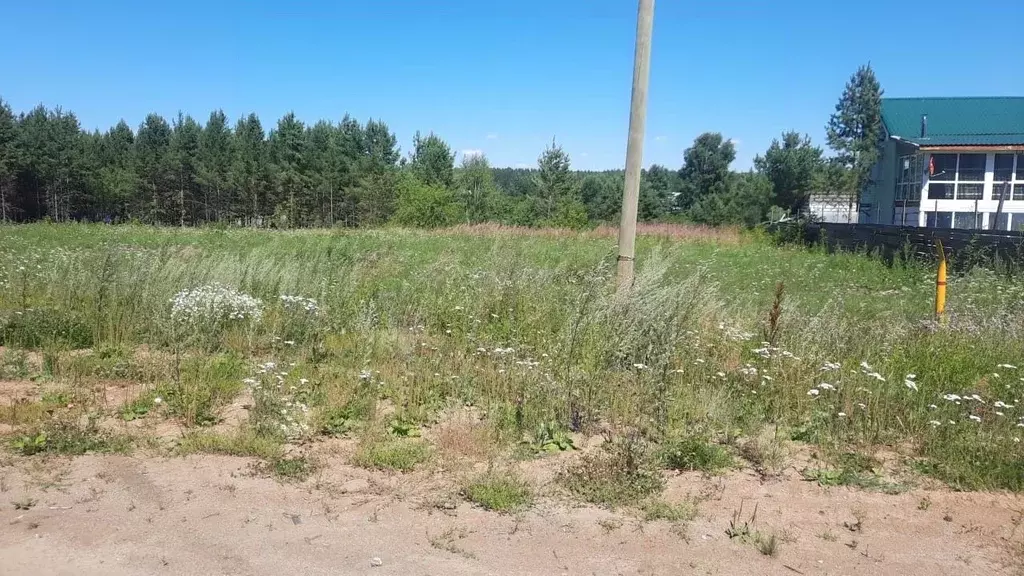 Участок в Свердловская область, Белоярский муниципальный округ, с. ... - Фото 1