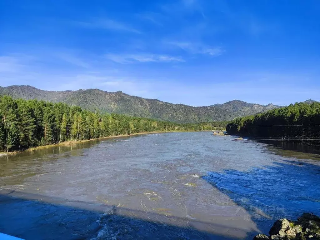 Участок в Алтай, Чемальский район, Элекмонарское с/пос  (54.4 сот.) - Фото 1