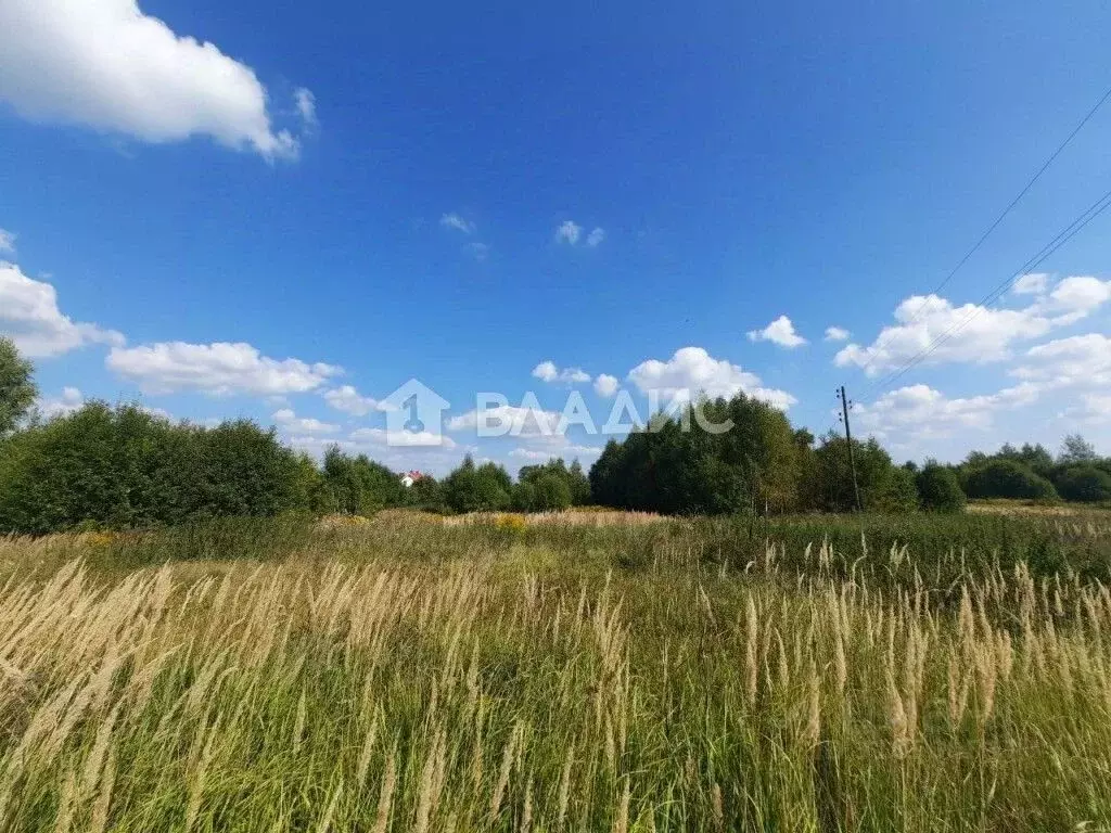 Участок в Владимирская область, Суздальский район, Селецкое ... - Фото 1