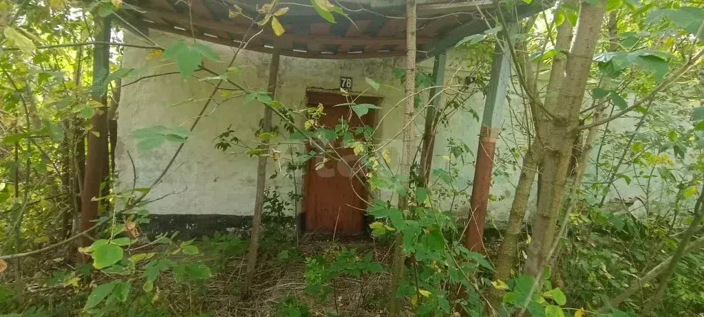 Участок в Липецкая область, Задонский район, Бутырский сельсовет, д. ... - Фото 1