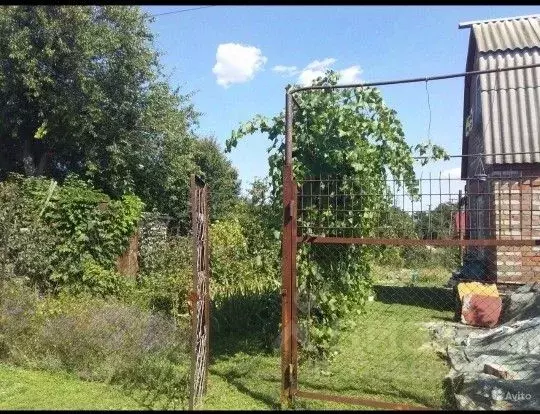 Дом в Ростовская область, Неклиновский район, Синявское с/пос, ... - Фото 2