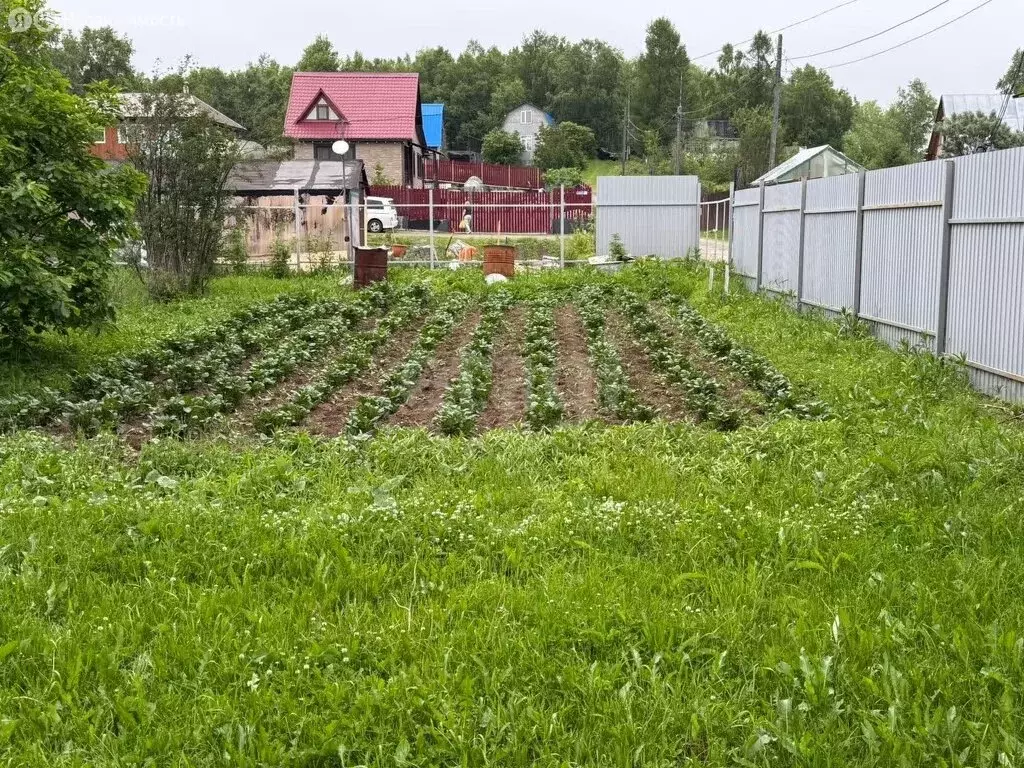 Участок в Камчатский край, Елизовский муниципальный округ, ДП Берёзка, ... - Фото 1
