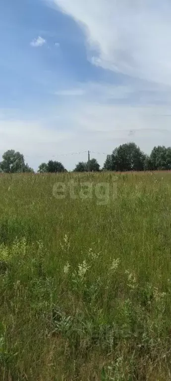 Участок в Башкортостан, Уфимский район, Булгаковский сельсовет, д. ... - Фото 2