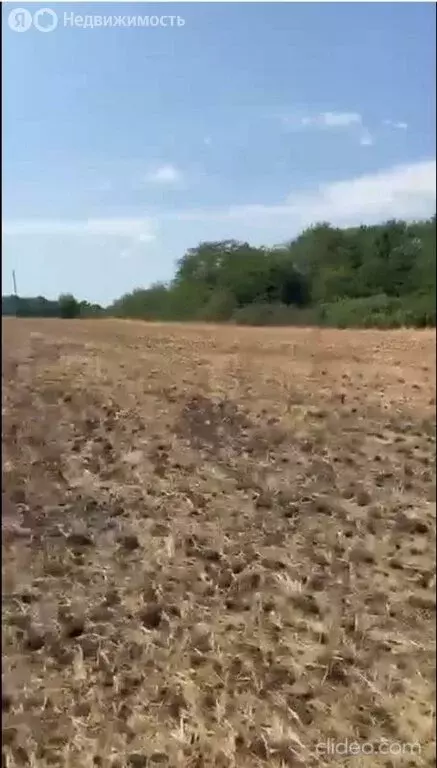 Участок в Краснодарский край, Анапа (550 м) - Фото 1