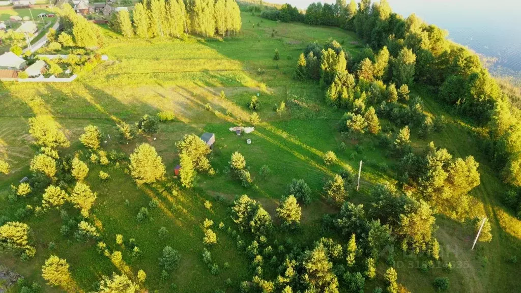 Участок в Псковская область, Куньинский район, Жижицкая волость, д. ... - Фото 1