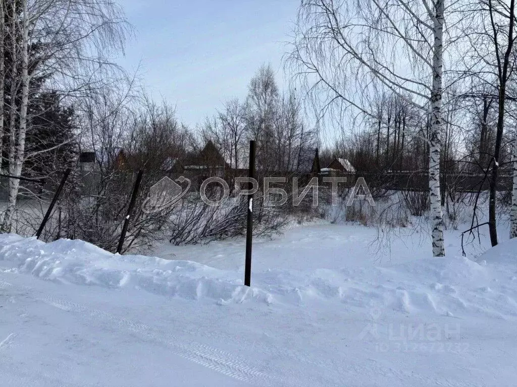 Участок в Тюменская область, Нижнетавдинский район, Фортуна СТ ул. 6-я ... - Фото 0