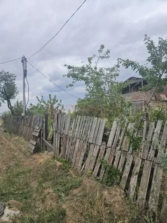 Участок в Ростовская область, Новочеркасск № 16 садовое товарищество, ... - Фото 2