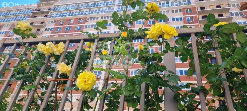 2-комнатная квартира: Краснодар, улица Западный Обход, 39/2 (49 м) - Фото 0