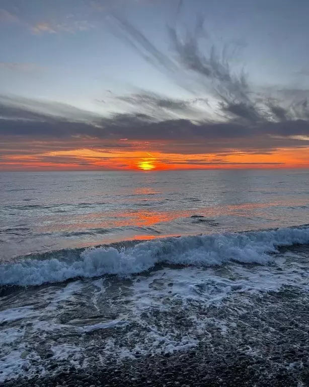 3-к кв. Краснодарский край, Сочи Центральный мкр, ул. Театральная, 11 ... - Фото 1