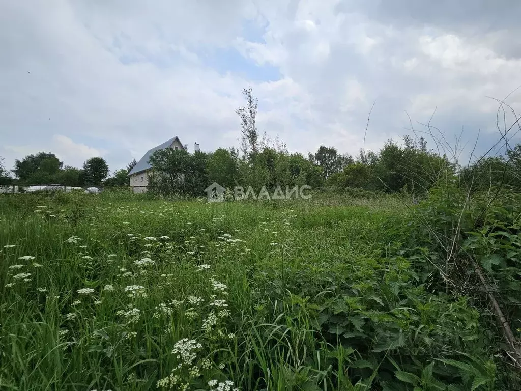 Участок в Московская область, Дмитровский городской округ, с. Игнатово ... - Фото 1