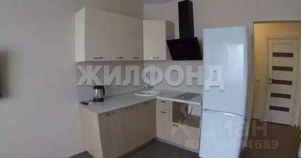 Студия Новосибирская область, Новосибирск ул. Фрунзе, 49 (30.0 м) - Фото 2