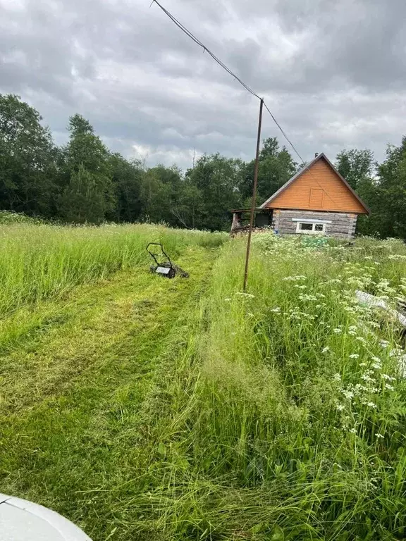 Участок в Тверская область, Зубцовский муниципальный округ, д. Ботино  ... - Фото 0