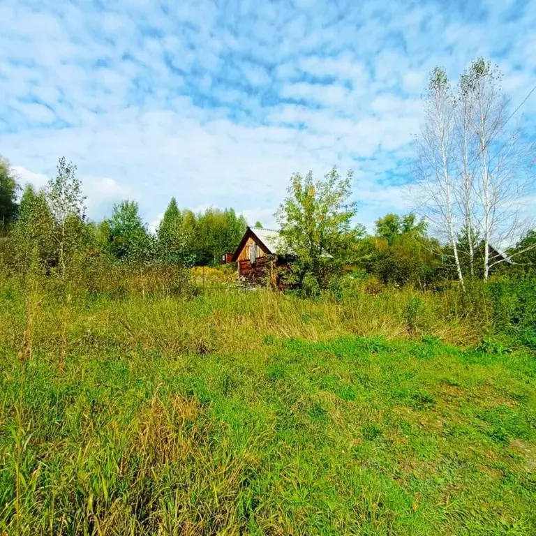 Участок в Новосибирская область, Новосибирский район, Барышевский ... - Фото 1