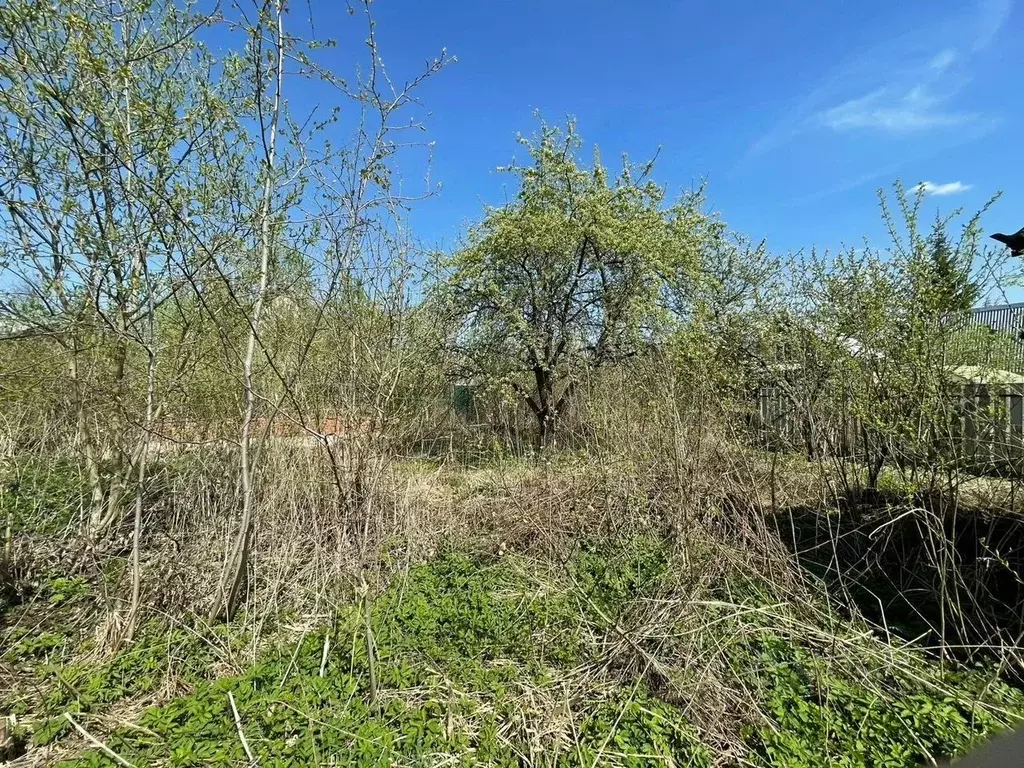 Участок в Московская область, Подольск городской округ, Бор СНТ 58 ... - Фото 2