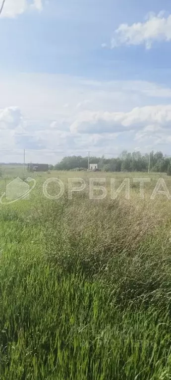 Участок в Тюменская область, Тюмень Ирбитский Тракт 3-й км от ... - Фото 2
