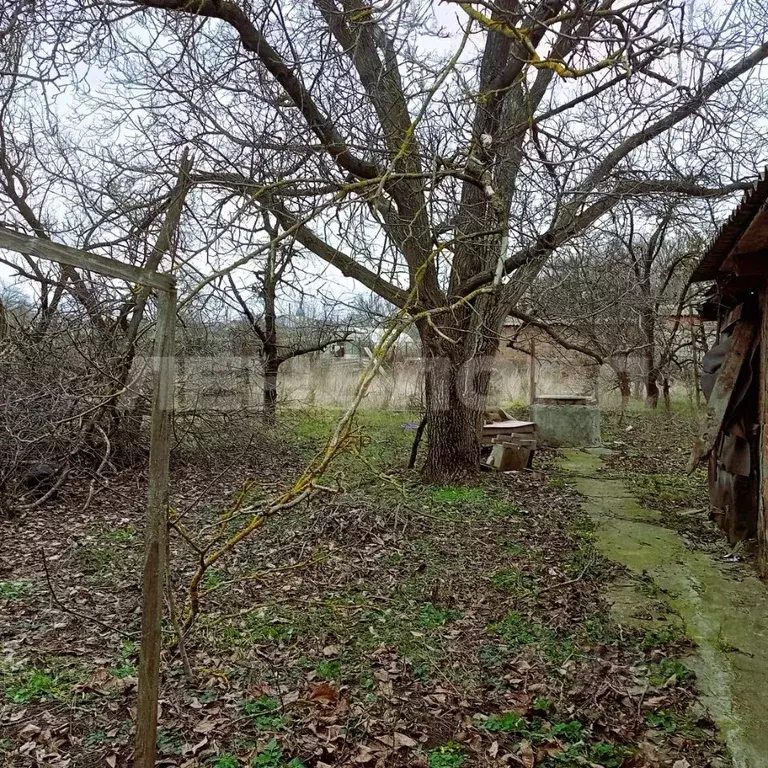 Участок в Краснодарский край, Кущевский район, Красносельское с/пос, ... - Фото 2