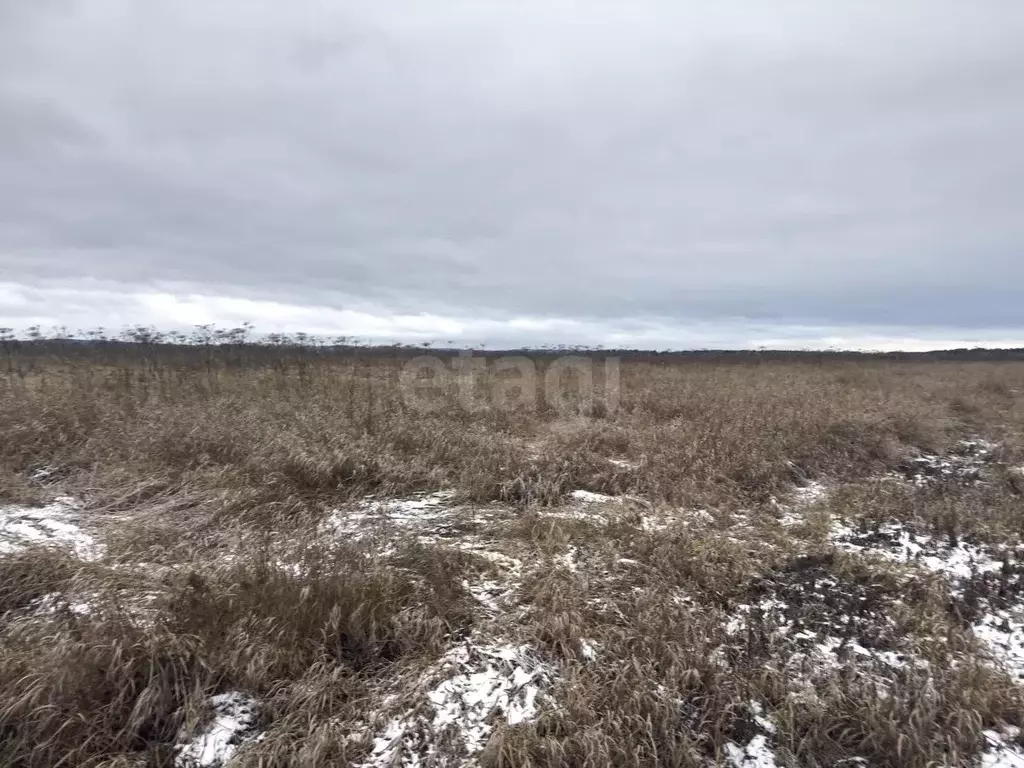 Участок в Пермский край, Пермский муниципальный округ, д. Качка ул. ... - Фото 1