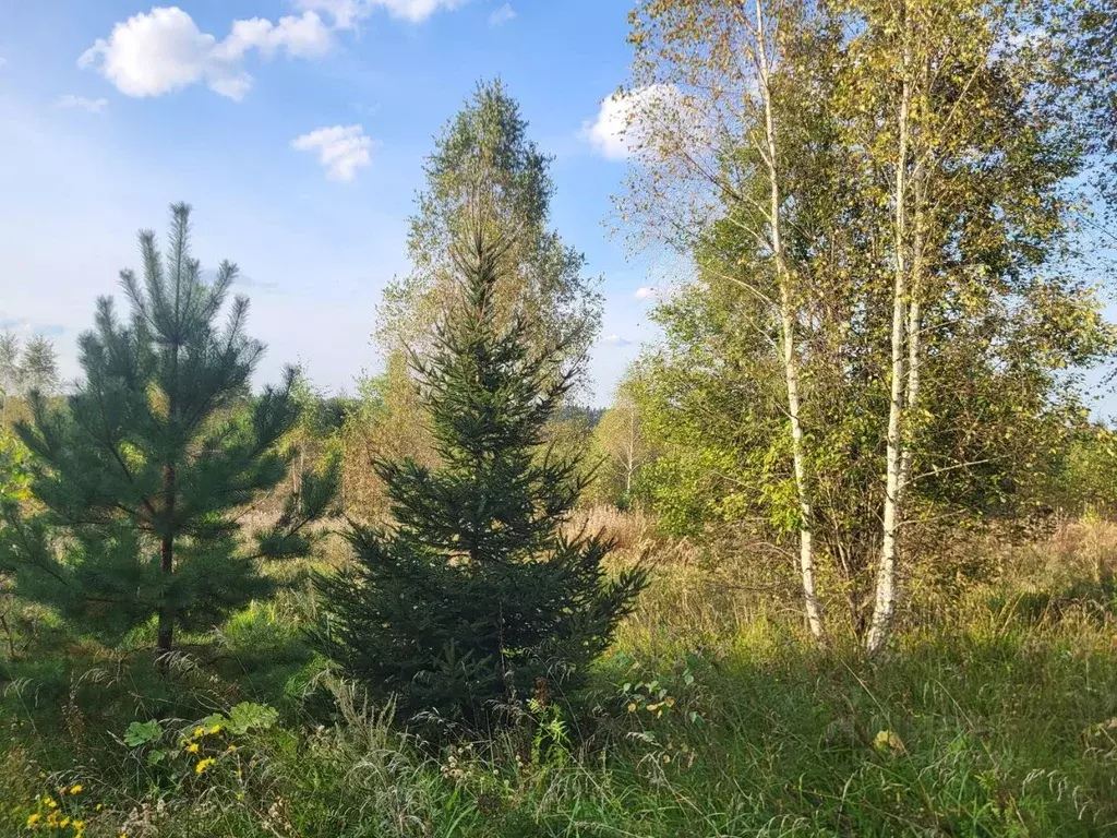 Участок в Московская область, Одинцовский городской округ, д. ... - Фото 2