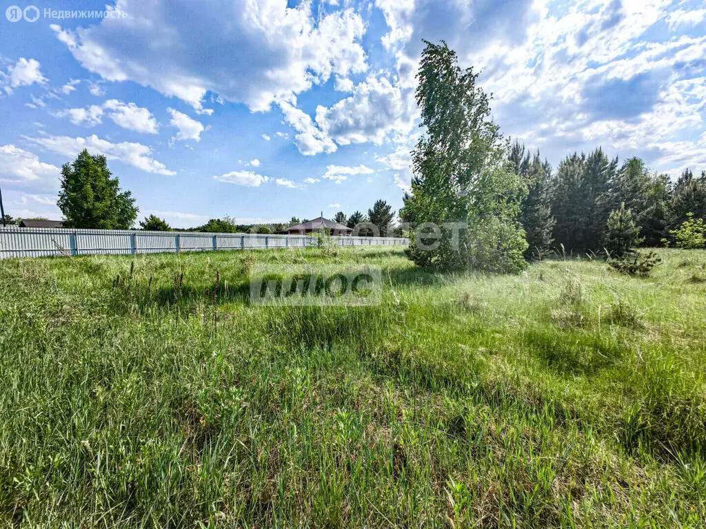 Участок в Чердаклинский район, Крестовогородищенское сельское ... - Фото 2